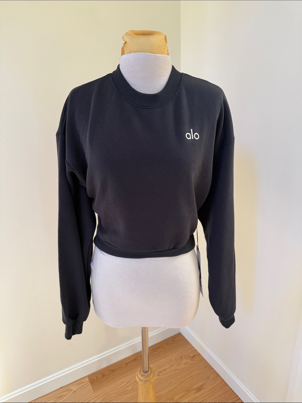 New! Alo yoga XS anthracite accolade cropped crew neck sweatshirt.